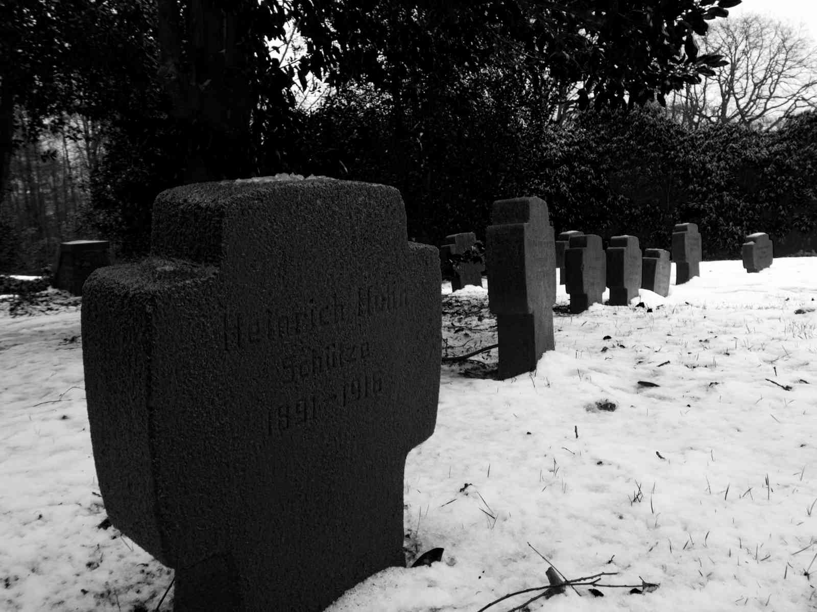 Ehrenfriedhof Königshöhe - Grabsteine Ehrenfriedhof Königshöhe - Grabsteine