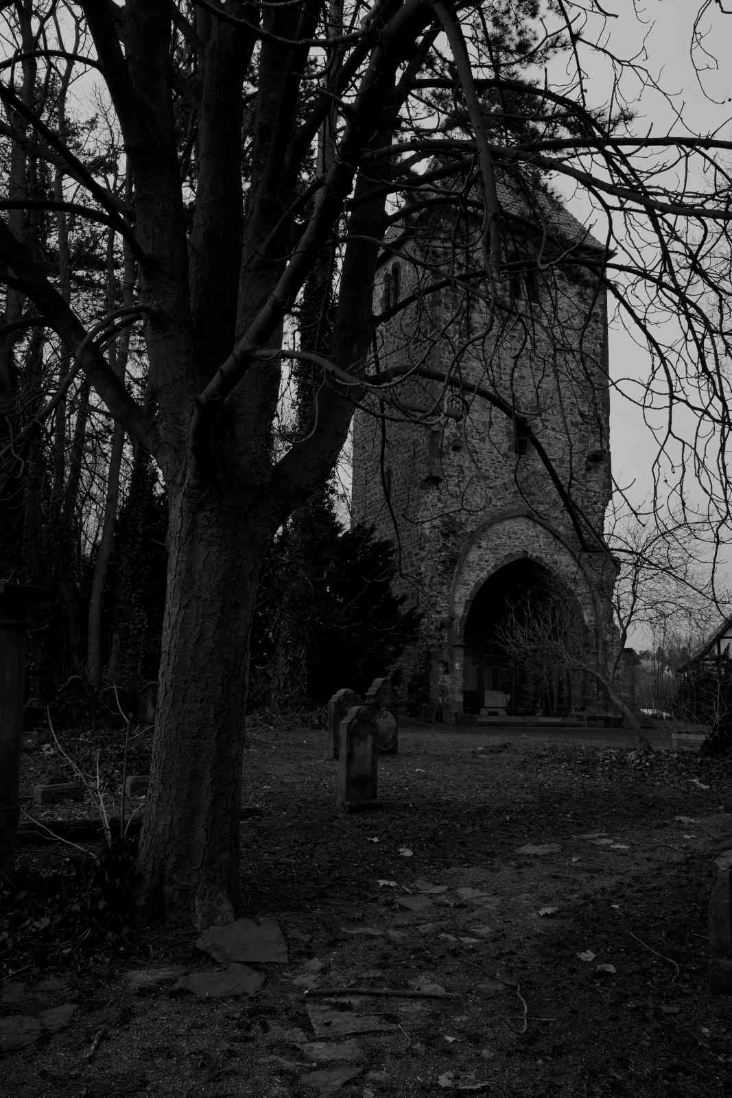 Friedhof in Lemgo 03