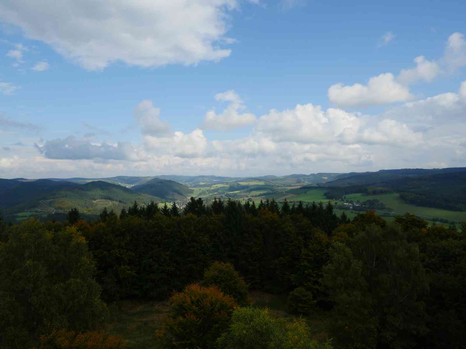Auf den Wilzenberg - Ausblick vom Aussichtsturm