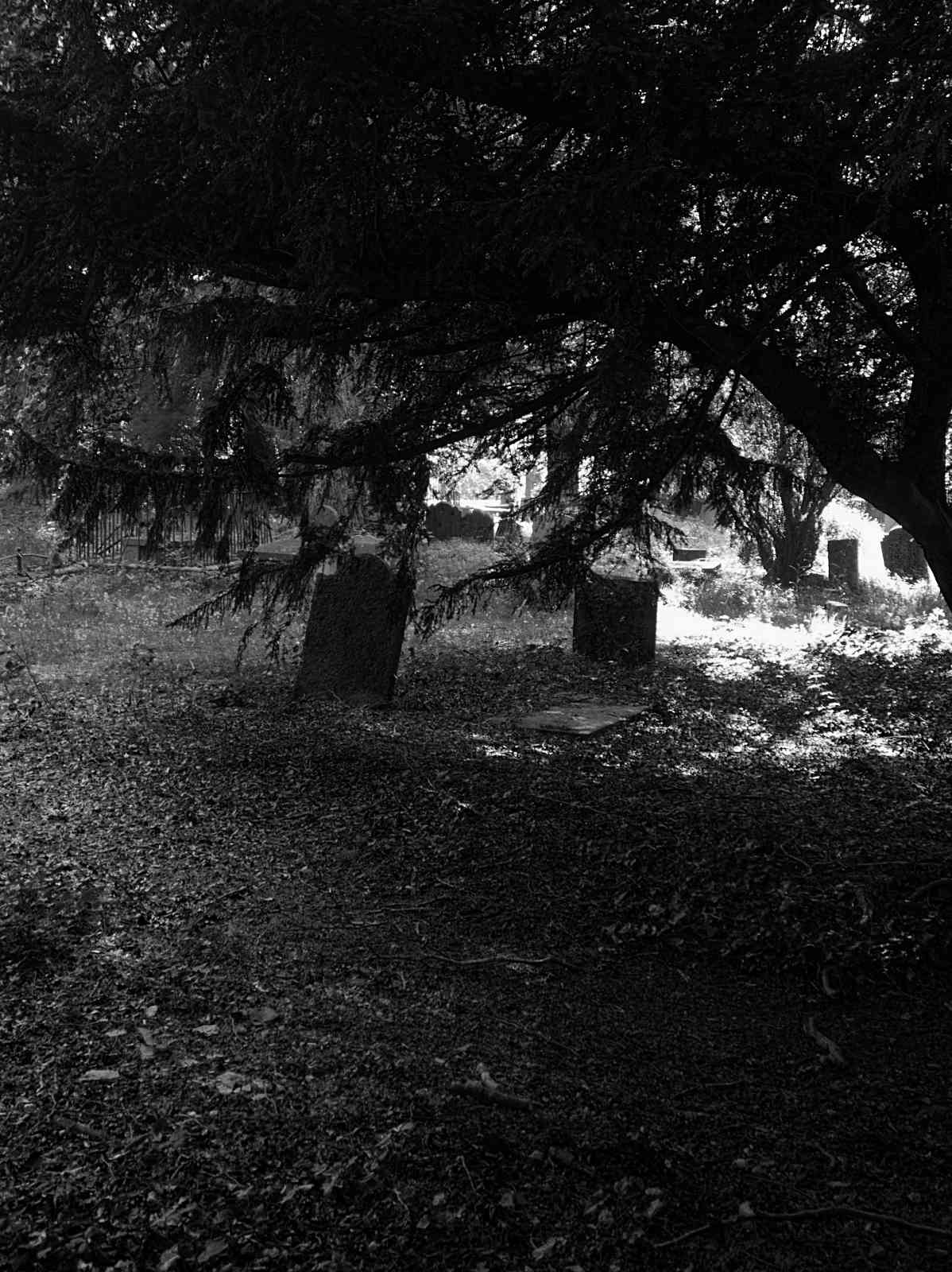 Friedhof Powerscourt Gardens 02