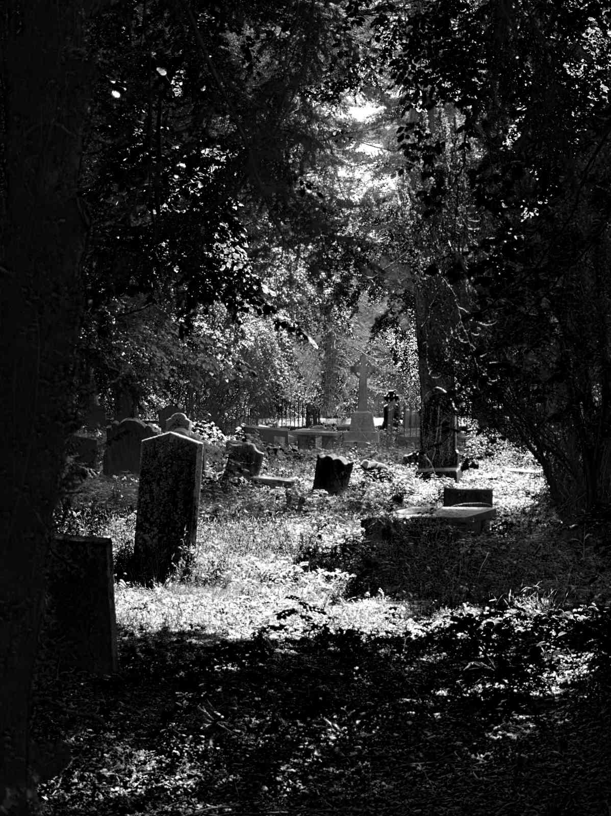 Friedhof Powerscourt Gardens 06