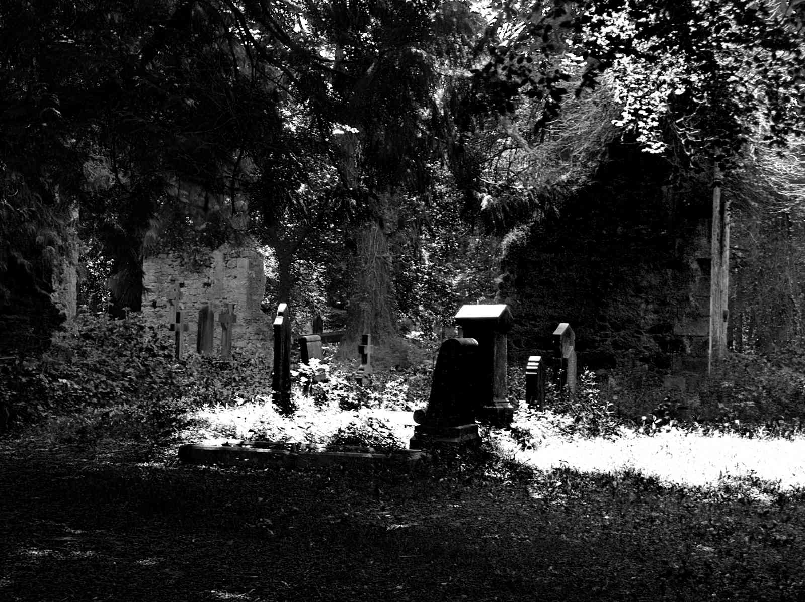 Friedhof Powerscourt Gardens 07