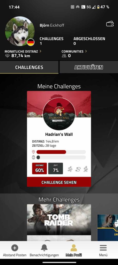 Überblick über die eigenen Challenges