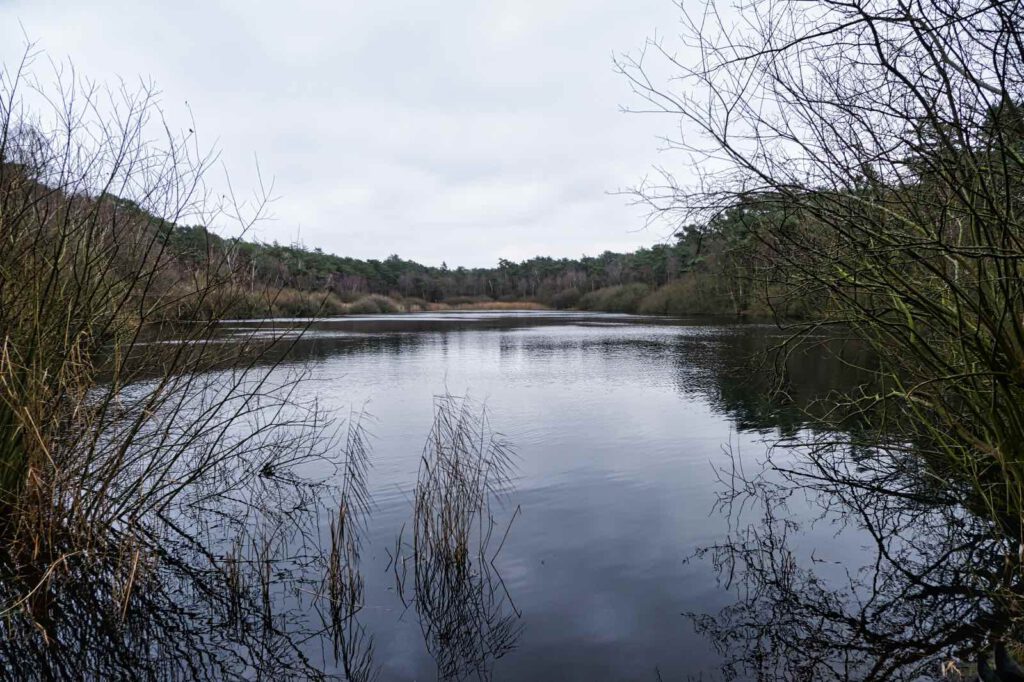 Finkenmoor Wernerwald, Sahlenburg